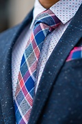 William Plaid Red Skinny Tie Photo (3)