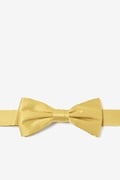 Rich Gold Bow Tie For Boys Photo (0)