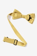 Rich Gold Bow Tie For Boys Photo (1)