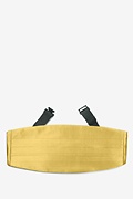 Rich Gold Cummerbund Photo (0)