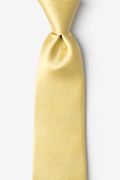 Rich Gold Extra Long Tie Photo (0)
