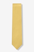 Rich Gold Tie For Boys Photo (1)