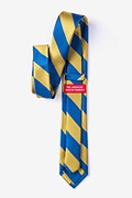 Royal Blue & Gold Stripe