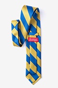 Royal Blue & Gold Stripe