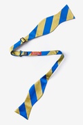 Royal Blue & Gold Stripe