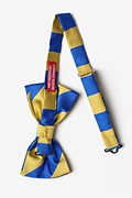 Royal Blue & Gold Stripe Pre-Tied Bow Tie Photo (1)