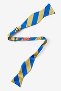 Royal Blue & Gold Stripe Self-Tie Bow Tie Photo (1)