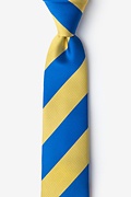 Royal Blue & Gold Stripe Skinny Tie Photo (0)