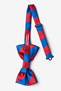 Royal Blue & Red Stripe Pre-Tied Bow Tie Photo (1)