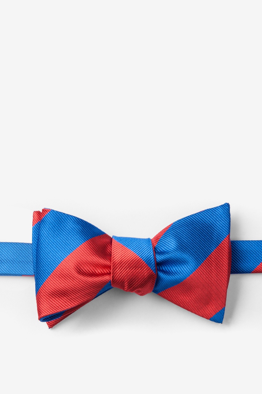 Royal Blue & Red Stripe Self-Tie Bow Tie Photo (0)