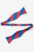 Royal Blue & Red Stripe Self-Tie Bow Tie Photo (1)