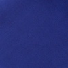 Royal Blue Silk Royal Blue
