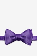 Royal Purple