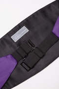 Royal Purple Cummerbund Photo (1)