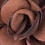 Rust Felt Blooming Flower Lapel Pin