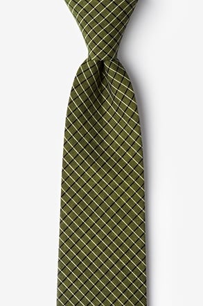 Holbrook Sage Extra Long Tie