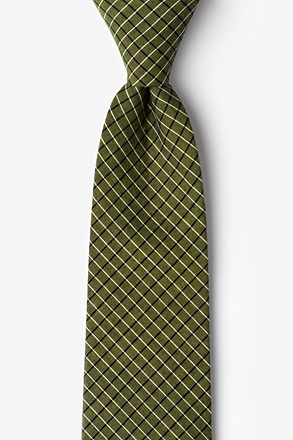 _Holbrook Sage Extra Long Tie_