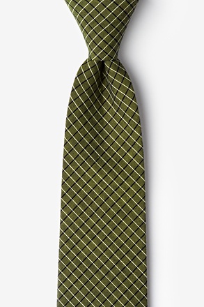 Holbrook Sage Tie
