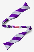 Silver & Purple Stripe Self-Tie Bow Tie Photo (1)