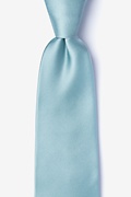 Silver Sage Extra Long Tie Photo (0)