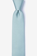 Silver Sage Skinny Tie Photo (0)