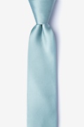 Silver Sage Skinny Tie Photo (0)