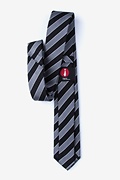 Fane Silver Skinny Tie Photo (1)