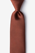 Spice Brown Extra Long Tie Photo (0)