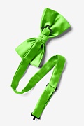 Summer Green Pre-Tied Bow Tie Photo (1)