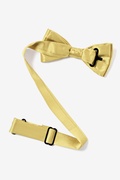 Sunshine Yellow Bow Tie For Boys Photo (1)