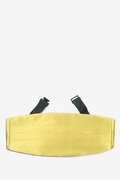 Sunshine Yellow Cummerbund Photo (0)