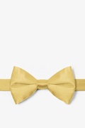 Sunshine Yellow Pre-Tied Bow Tie Photo (0)