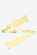 Sunshine Yellow Self-Tie Bow Tie Photo (1)
