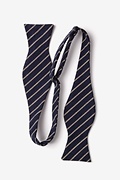 Arcola Tan/taupe Self-Tie Bow Tie Photo (1)