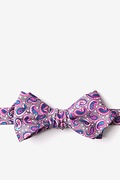 Cedar Hill Tan/taupe Diamond Tip Bow Tie Photo (0)