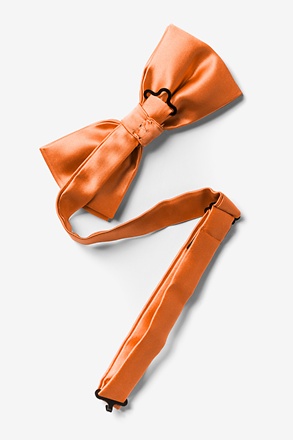unique pre tied bow ties