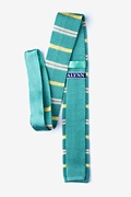 Roman Stripe Teal Knit Skinny Tie Photo (1)