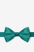 Teal Pre-Tied Bow Tie Photo (0)