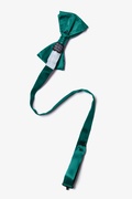 Teal Pre-Tied Bow Tie Photo (1)