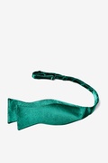 Teal Self-Tie Bow Tie Photo (2)