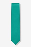 Teal Skinny Tie Photo (1)