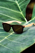 Hilo Tortoise Sunglasses Photo (3)