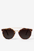 Tortoise Golden Gate Sunglasses Photo (0)