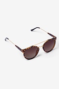 Tortoise Golden Gate Sunglasses Photo (1)