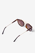 Tortoise Golden Gate Sunglasses Photo (2)