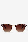 Tortoise SoHo Half Frame Sunglasses Photo (0)