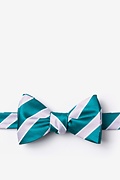 Jefferson Stripe Turquoise Self-Tie Bow Tie Photo (0)