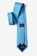 Checked Plaid Turquoise Tie Photo (1)
