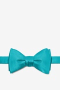 Turquoise Self-Tie Bow Tie Photo (0)