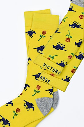 _American Flags Navy Blue Sock_